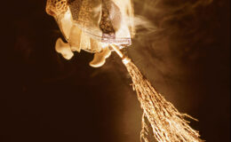 019 - die rasende hexe